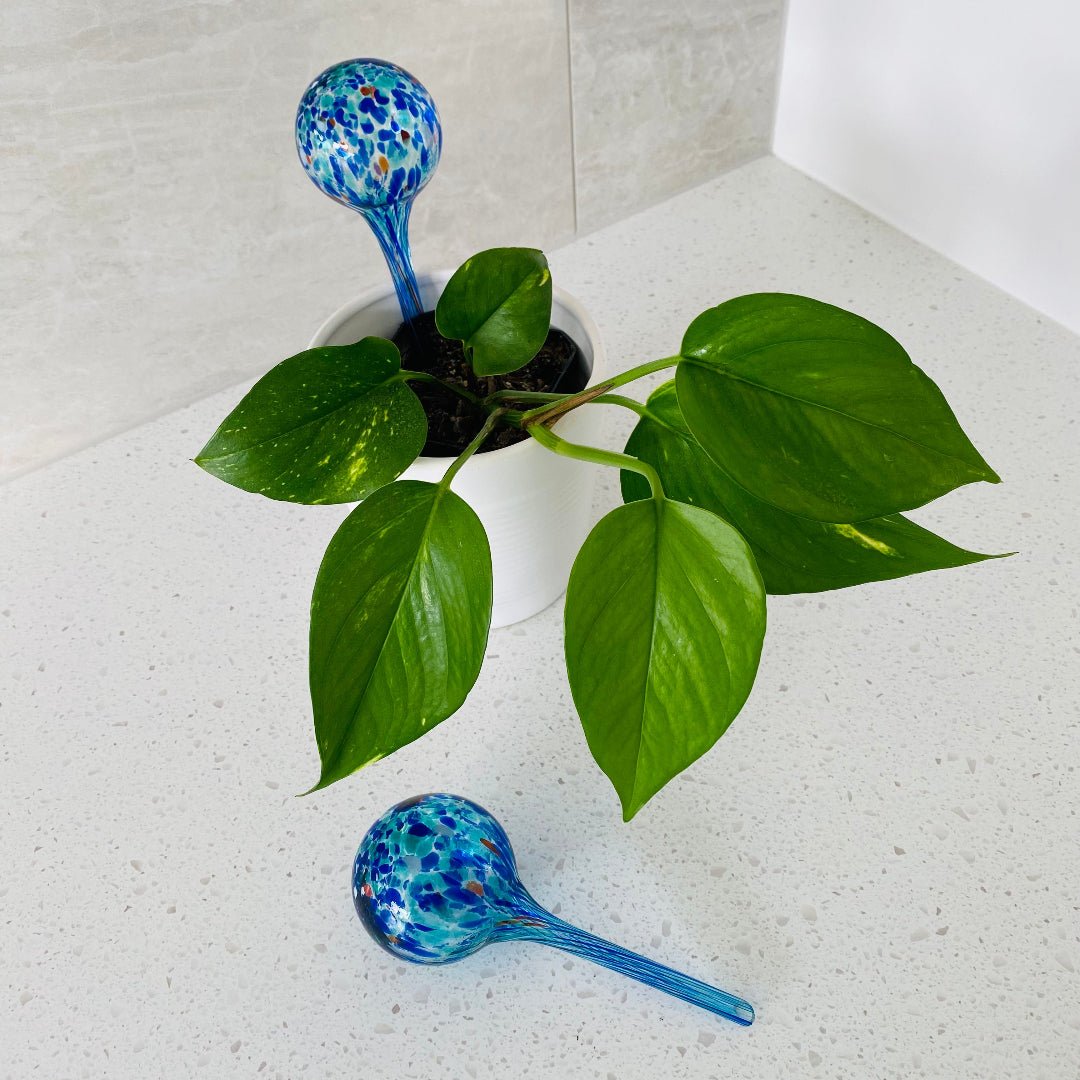 Deep blue glass plant feeder with a sleek, rounded design, ideal for keeping houseplants watered for up to two weeks.
