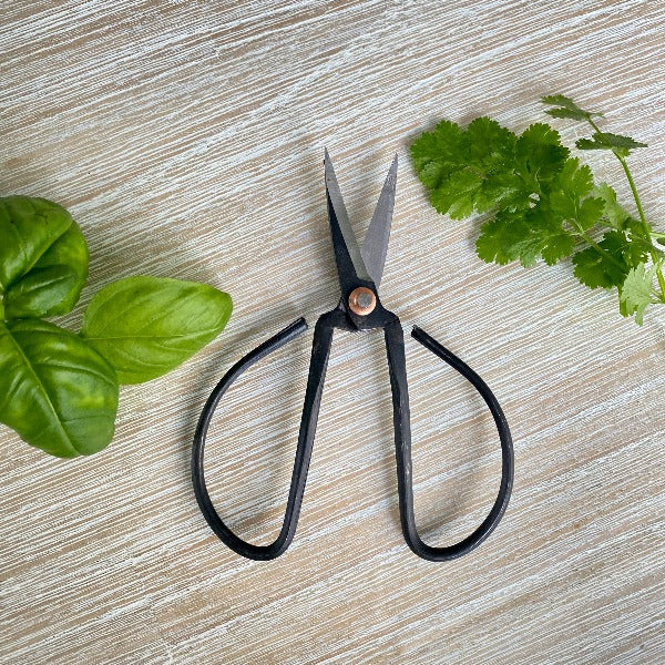 Herb garden scissors are rafted from carbon steel